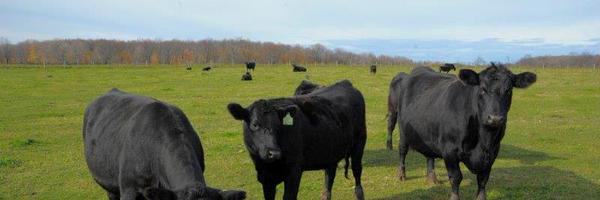 jbbeef Profile Banner