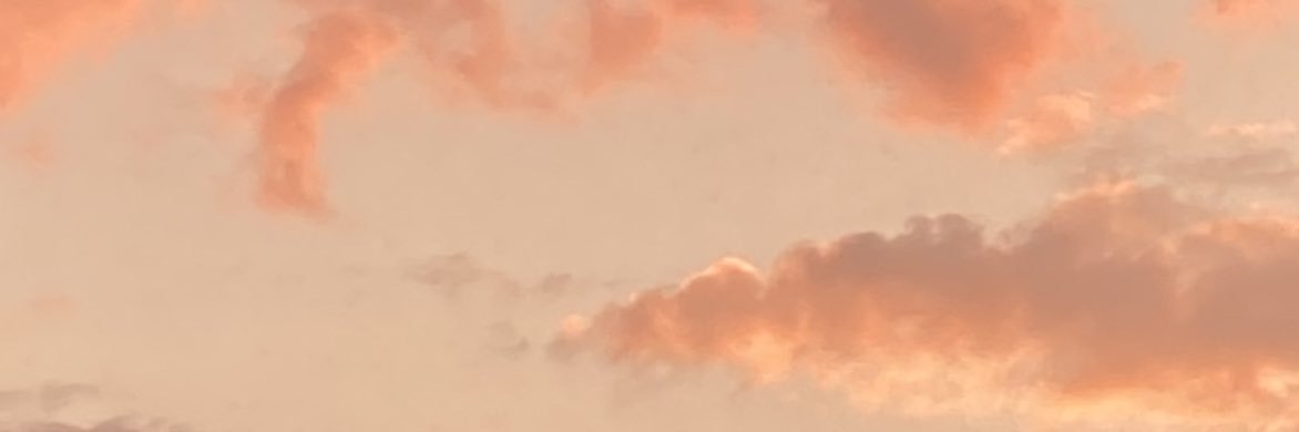 _taniatorress's profile banner image