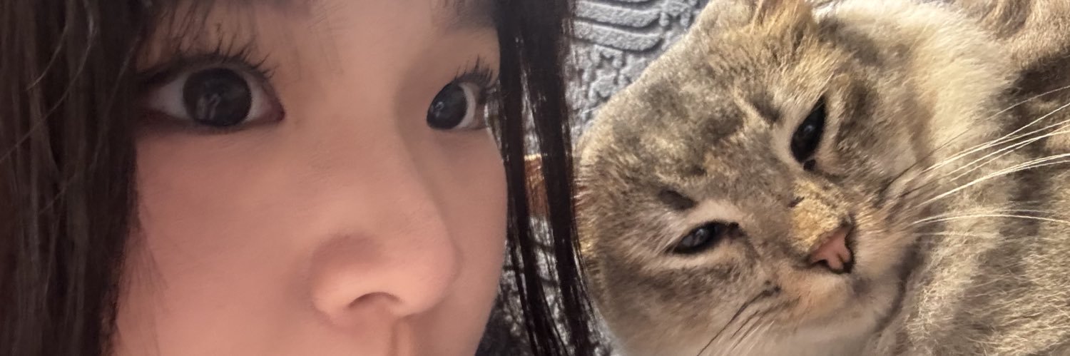 rriceballl's profile banner image