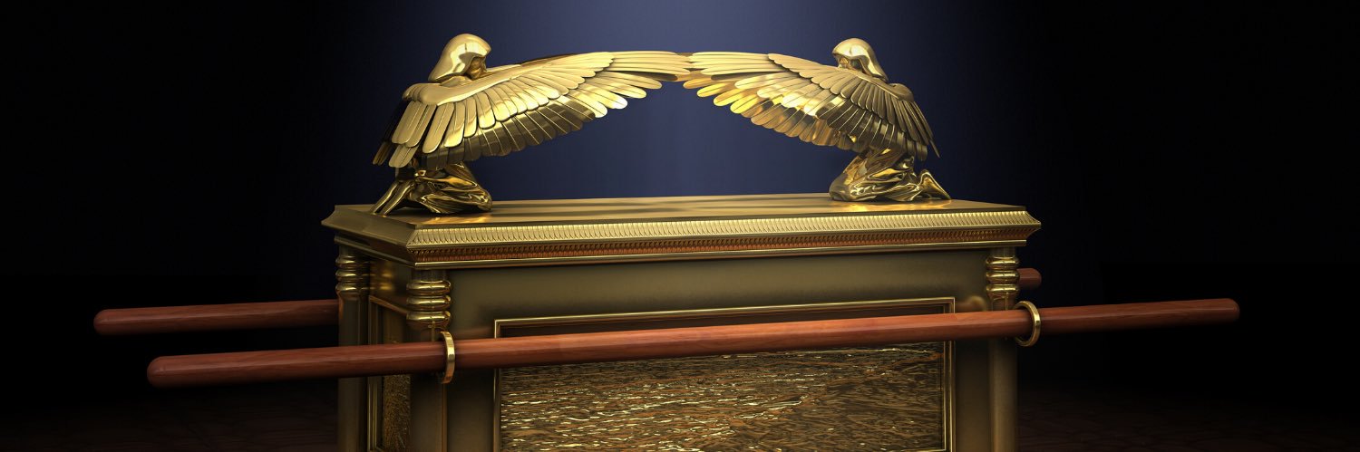 reytoluca's profile banner image