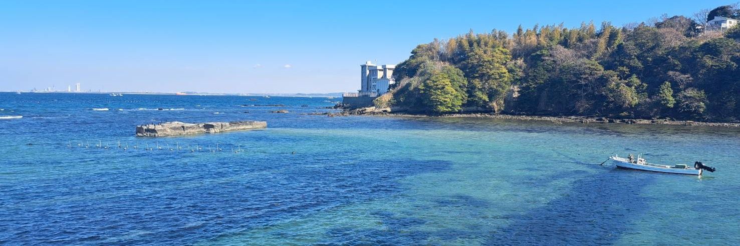 崖の上のユウト banner