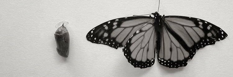 MsCarolinne's profile banner image