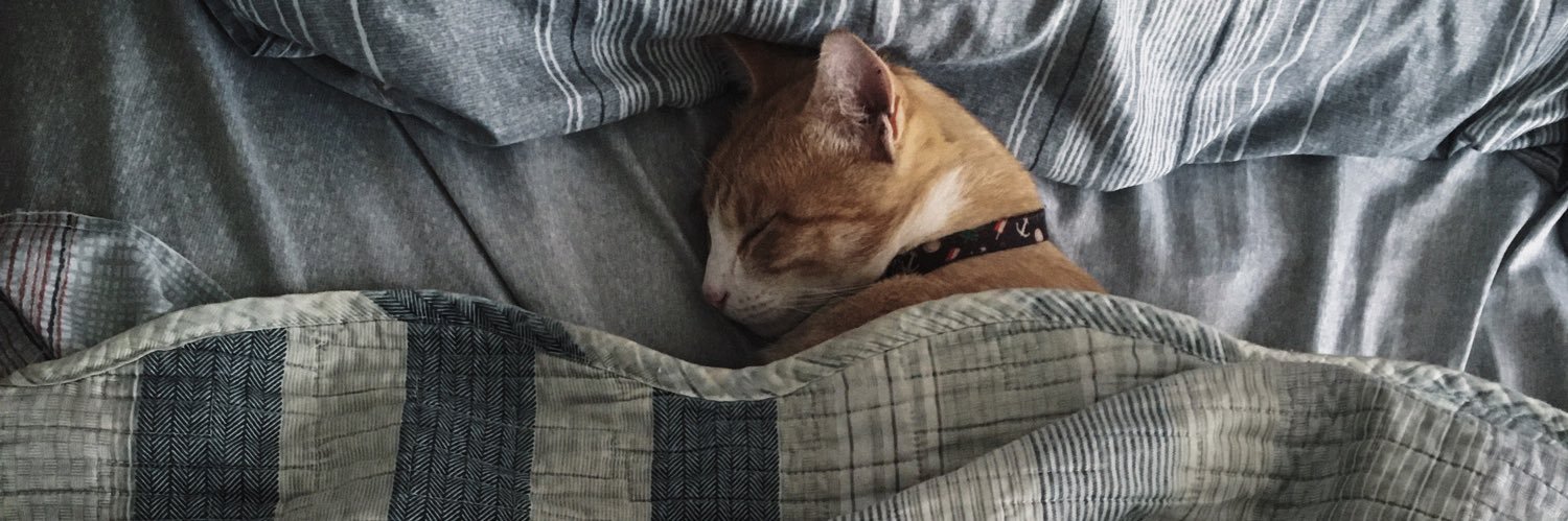 pampampannn's profile banner image