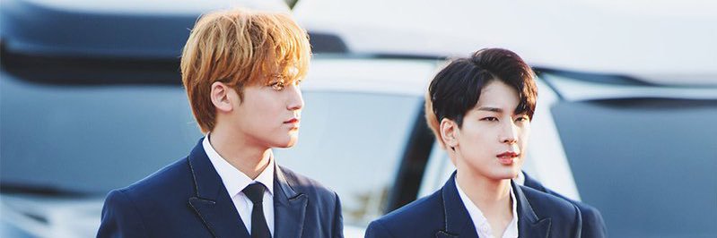보로 banner