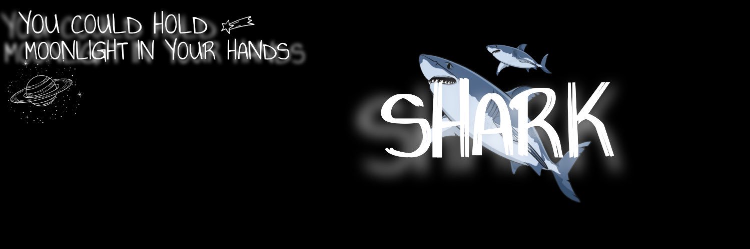 Shark banner