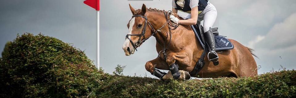 Charlie Wells banner