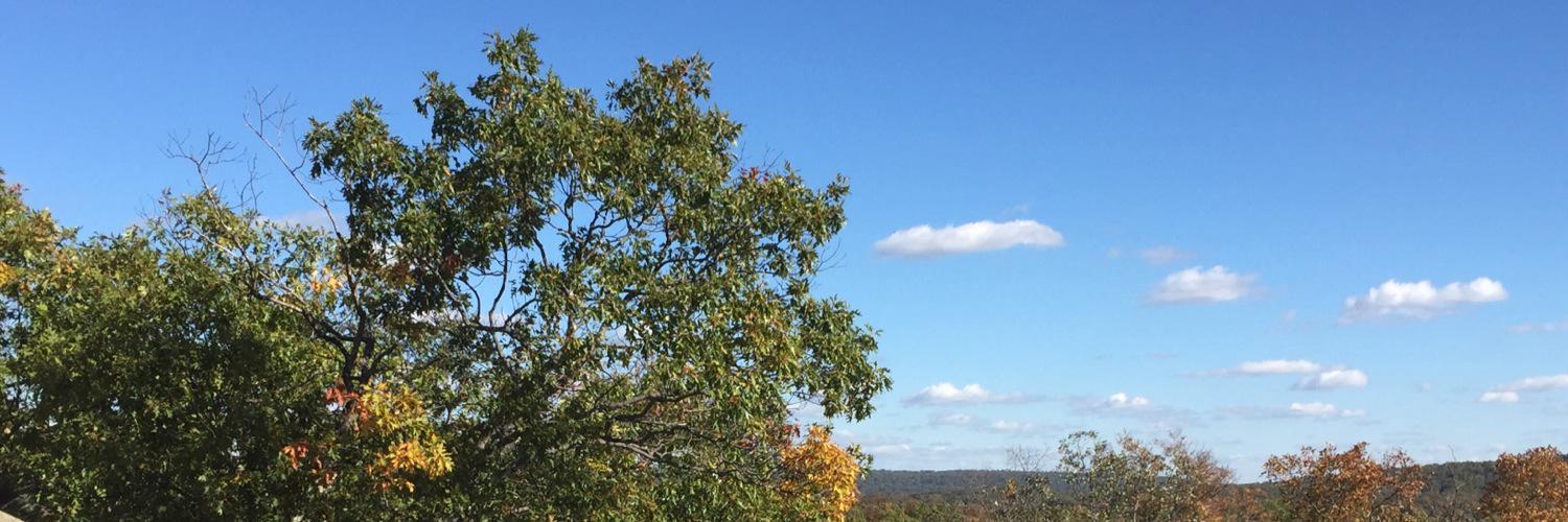 brookevcounts's profile banner image