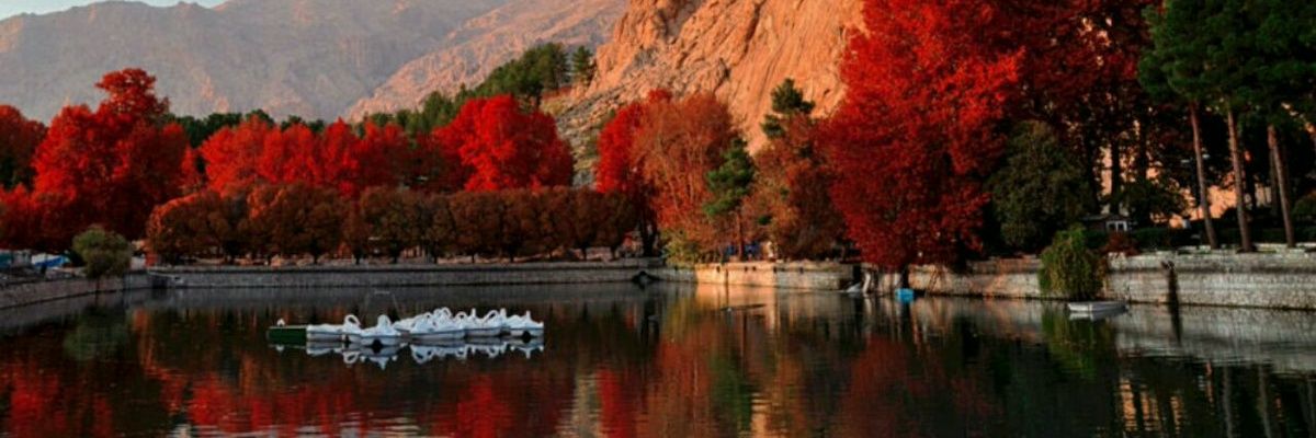 سعید سیف's banner
