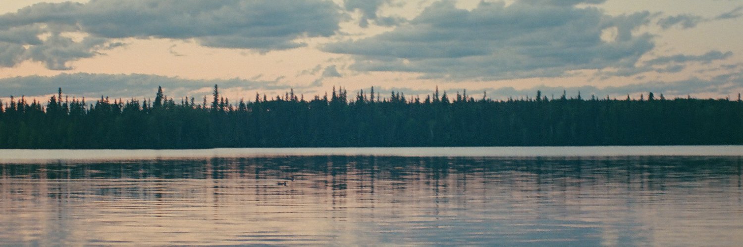 shiftedshape's profile banner image