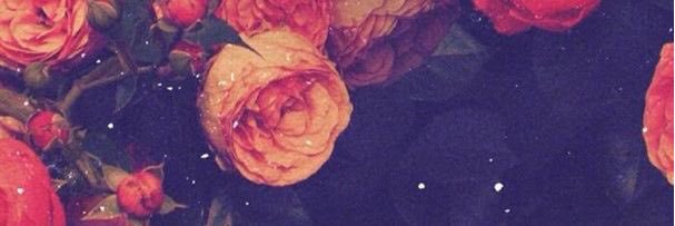 risafaye67's profile banner image