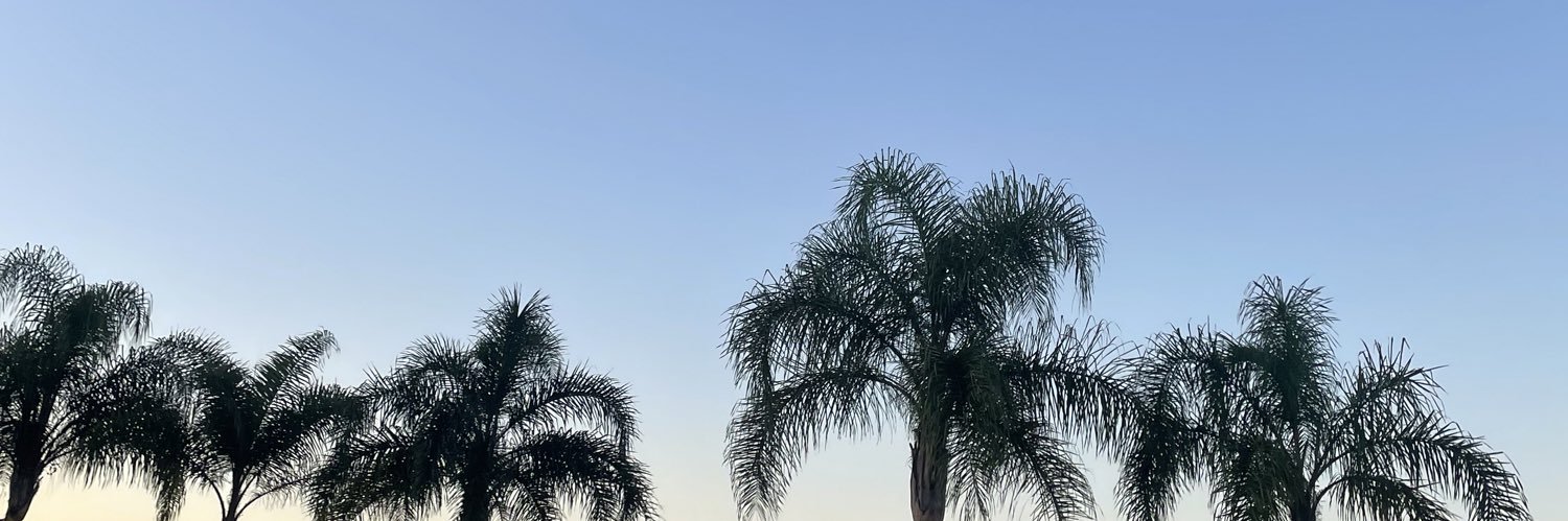 avipland's profile banner image