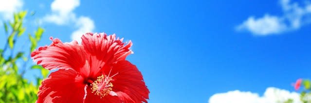 いしまる@沖縄 banner