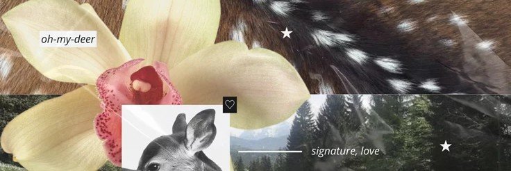 acrteri's profile banner image
