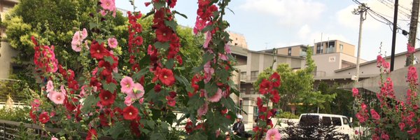 ledbylex Profile Banner