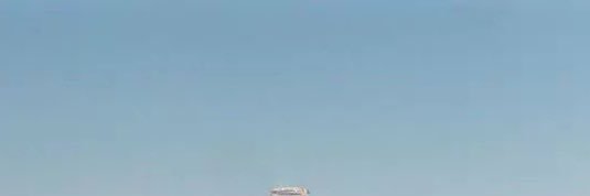 H. banner