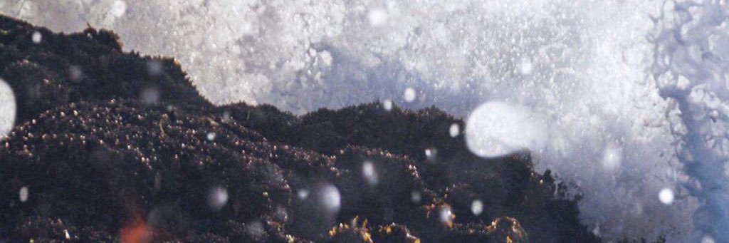 1402Nonaj's profile banner image