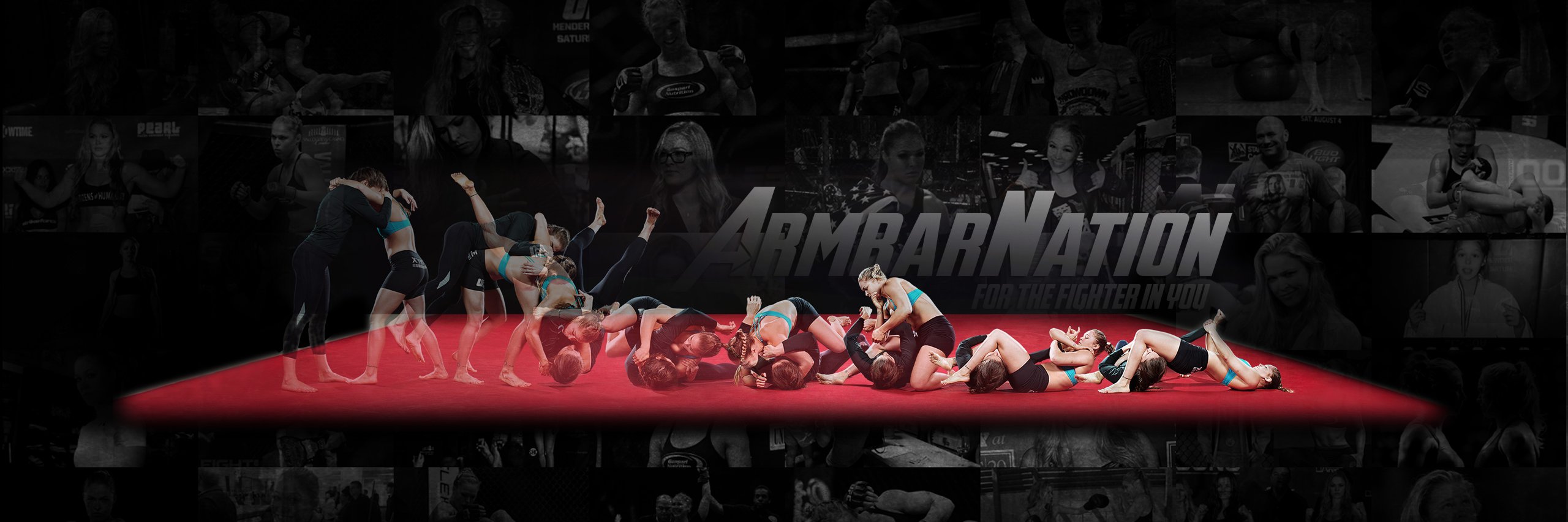 ArmbarNation banner