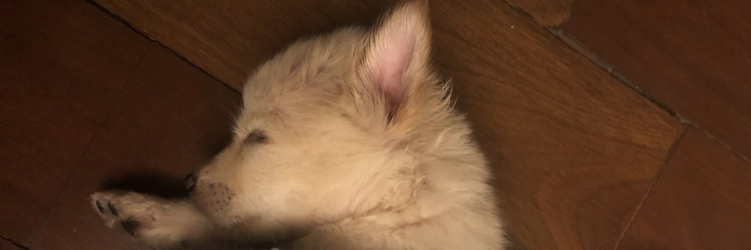 itsyviee's profile banner image