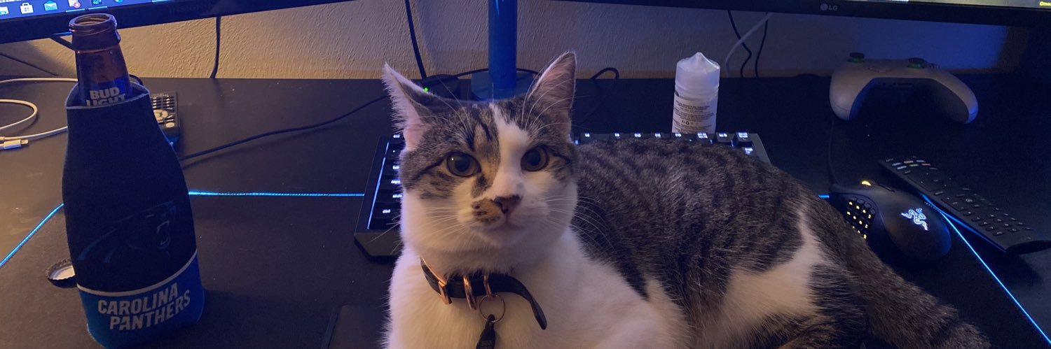 adamthanegaming's profile banner image