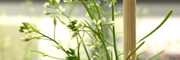 AK_Roessling Profile Banner