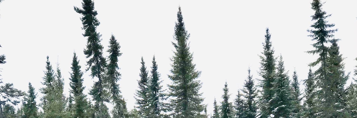 PodSeeking's profile banner image