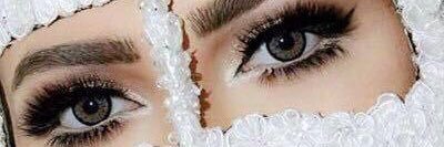 الشيهانه🦋 banner