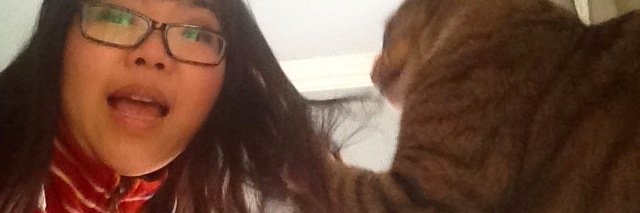 AliceChauCat's profile banner image