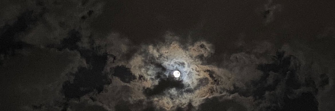 مشاري بن مديعج banner