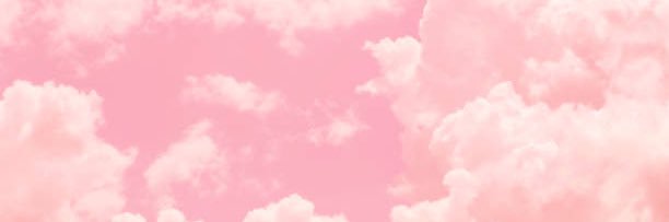 prfctaybrina's profile banner image