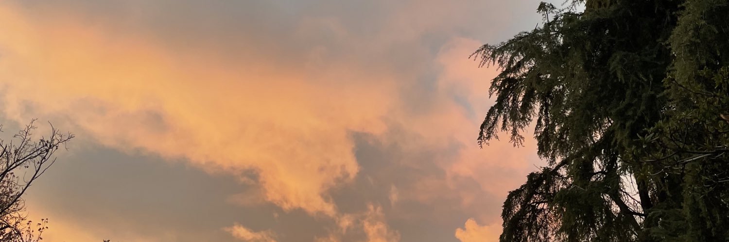 gems ⚢。* ♡ ・ 。・゜ ♡ 。・ banner