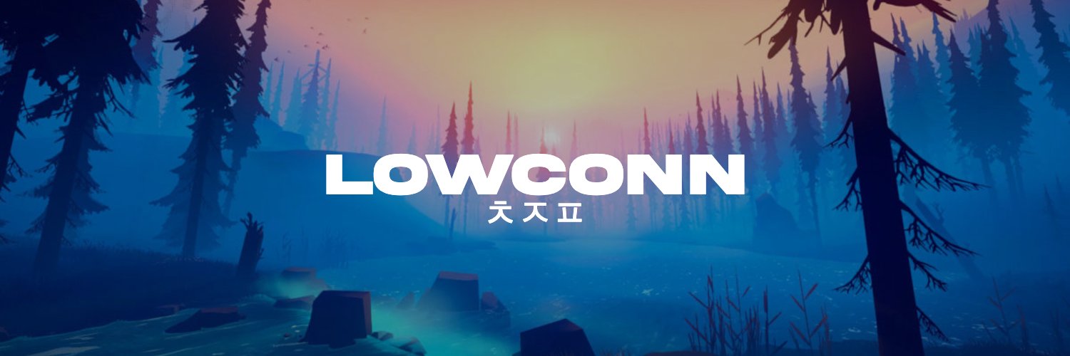 Lowconn banner