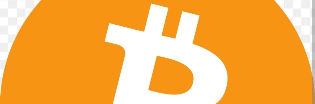 $DOG GO TO THE MOON banner