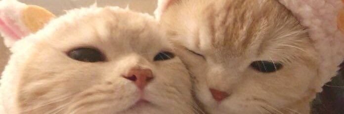 i00SEUNG's profile banner image