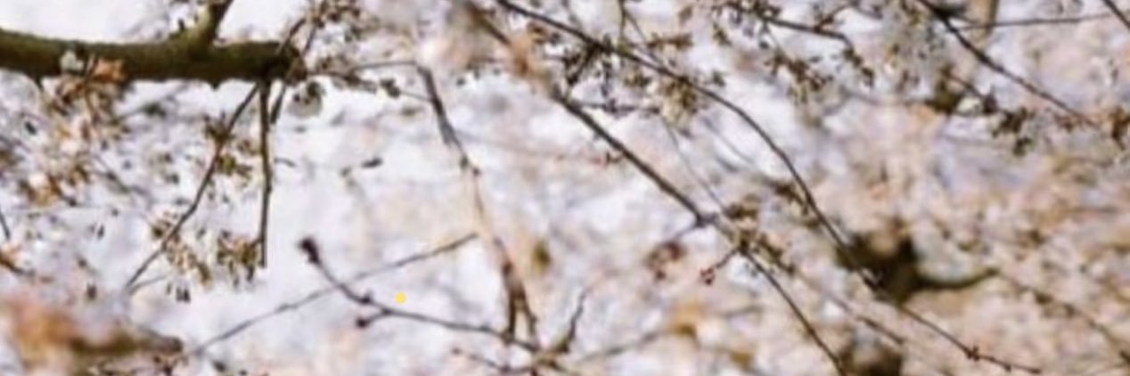 ata110011's profile banner image