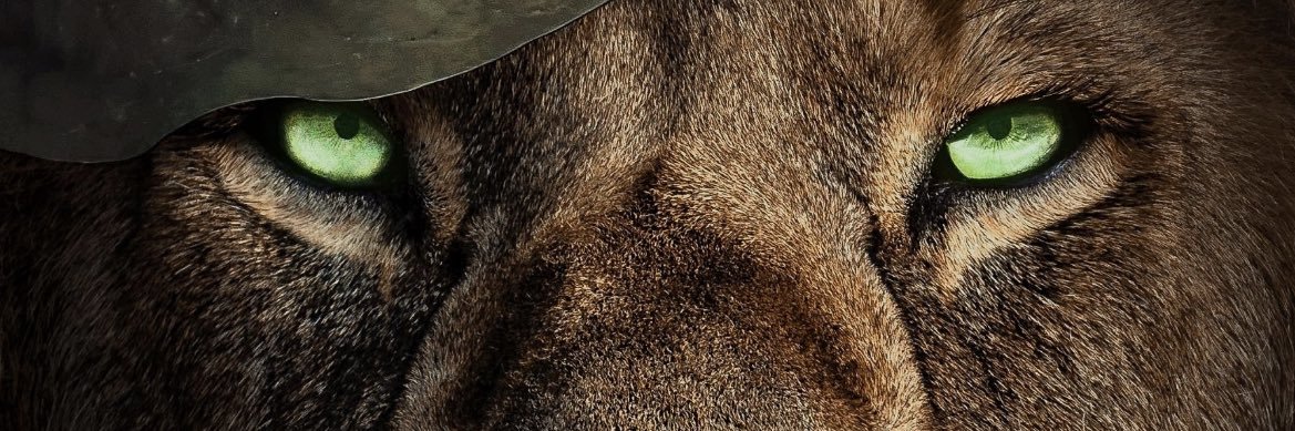 dpodadera7's profile banner image