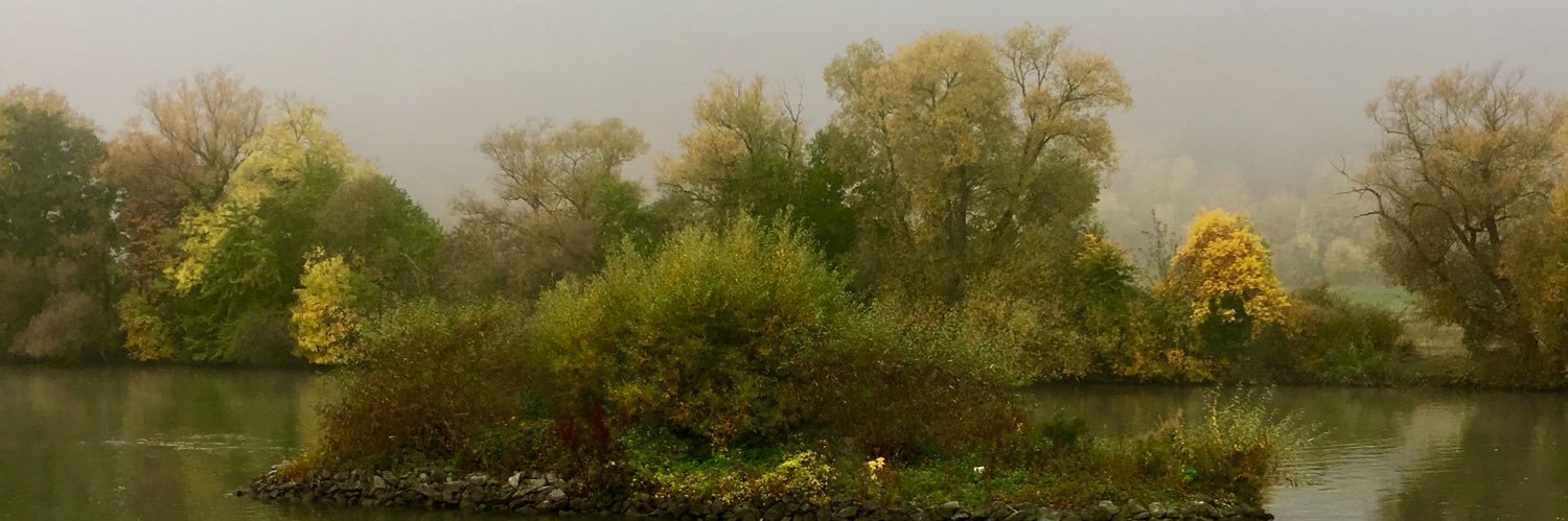 Magister Ludi banner