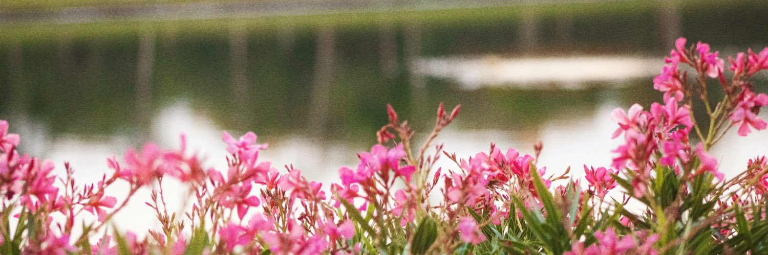 caemzo's profile banner image