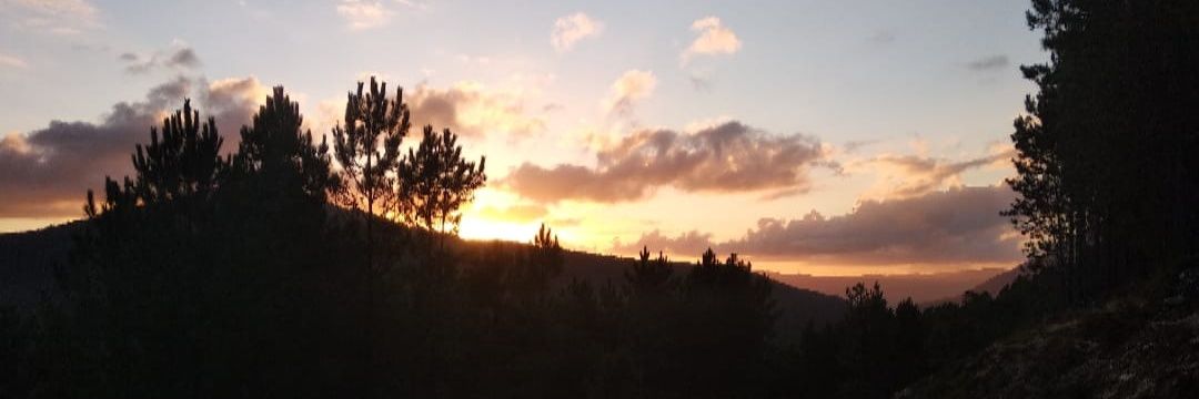 TiATicz's profile banner image