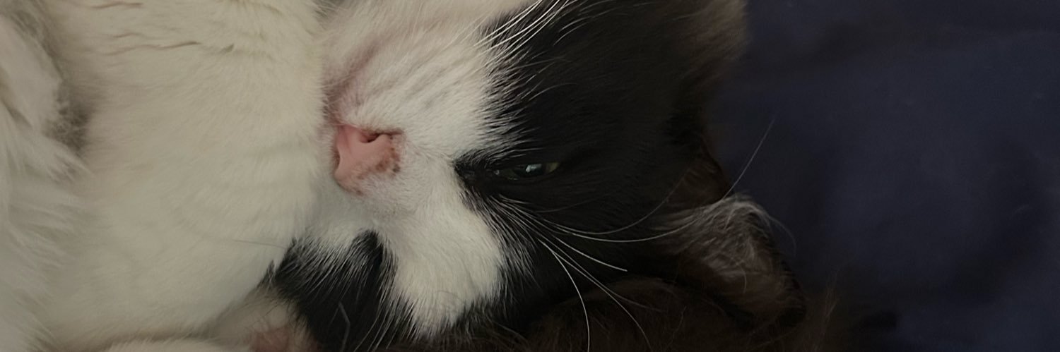Hi_ro_B's profile banner image
