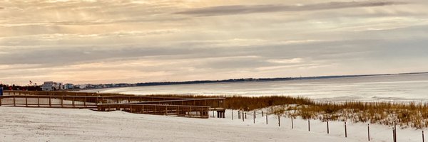 FsuSimon Profile Banner