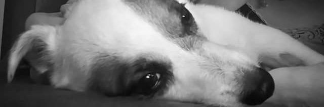 melkaline's profile banner image