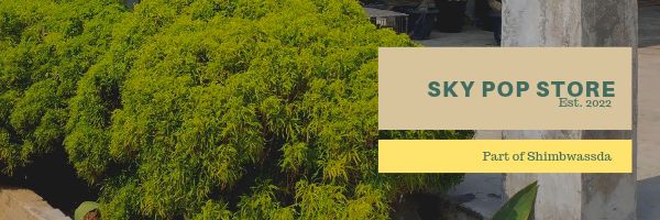 skypopstore's profile banner image