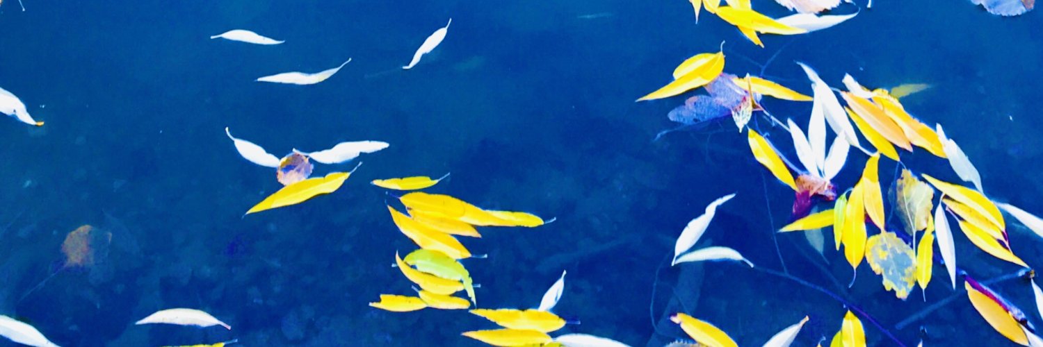 Kimberly Roberson banner