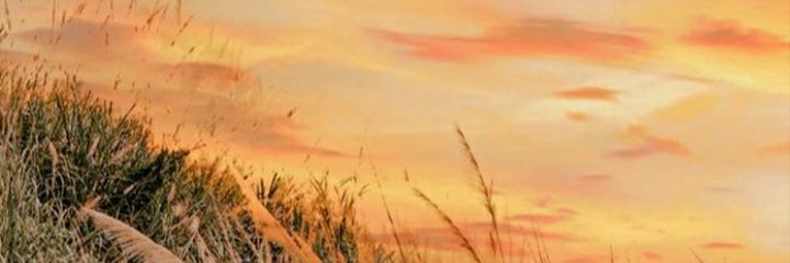 jahnajah's profile banner image