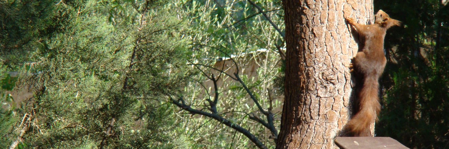 DnQuijoT's profile banner image