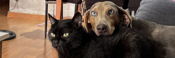 chorifletes Profile Banner
