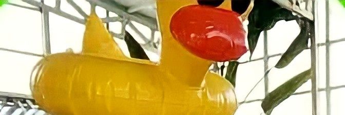 al stop jajan🐣 banner