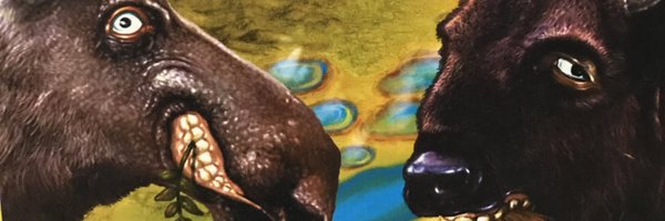 nusfrog Profile Banner