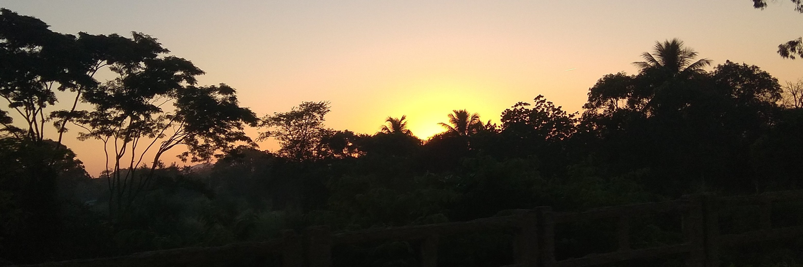 Marcellamarinss's profile banner image