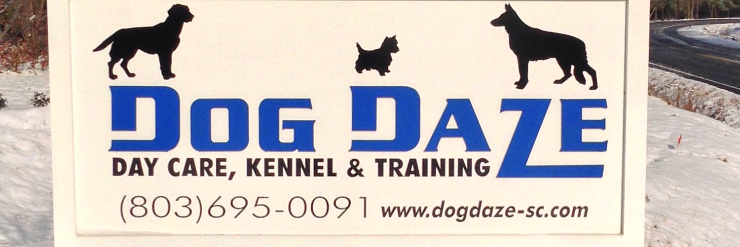 DogDazeSC's profile banner image